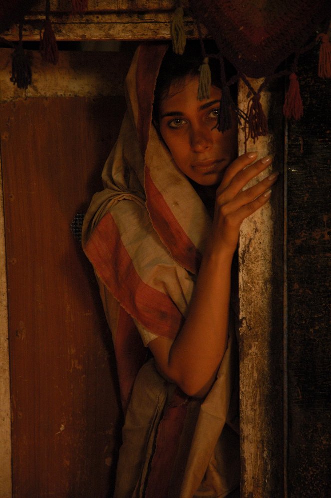 Bhopal: Prayer for Rain - Van film
