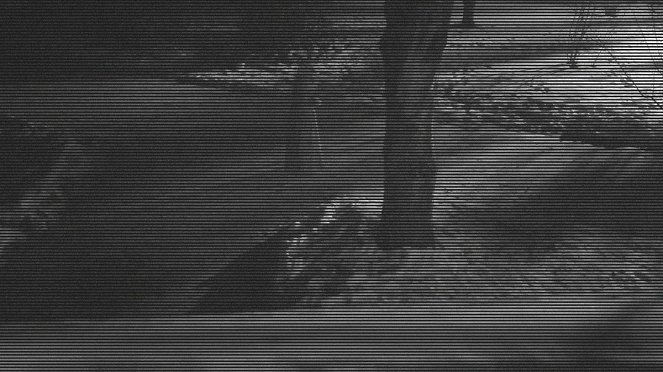 Svědci paranormálních jevů - Série 3 - The Long Island Terror - Z filmu