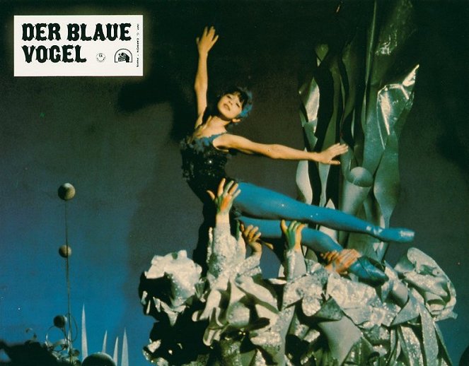 The Blue Bird - Lobbykaarten