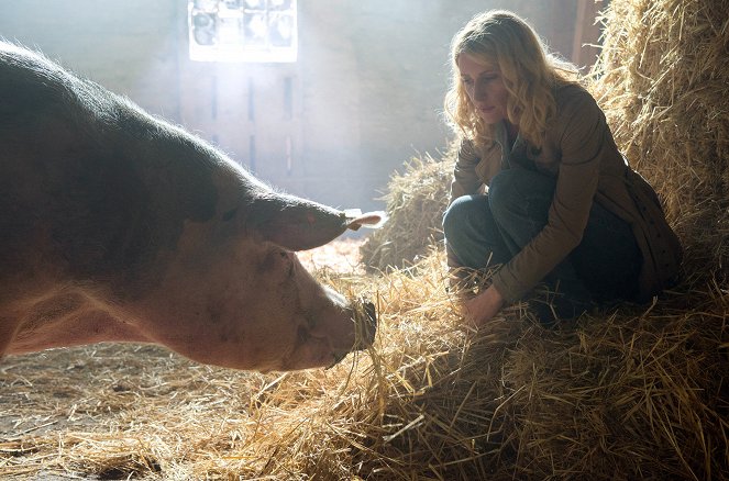 Tatort - Der sanfte Tod - Photos - Maria Furtwängler