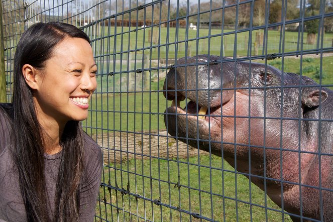 The Natural World - Season 33 - The Pygmy Hippo: A Very Secret Life - Kuvat elokuvasta