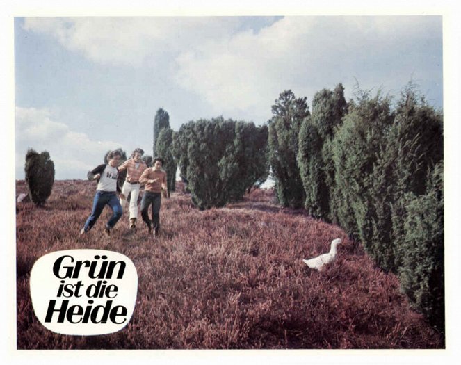 Grün ist die Heide - Fotocromos - Peter Millowitsch, Roy Black