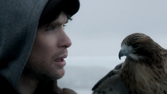 Aloft - Photos - Cillian Murphy