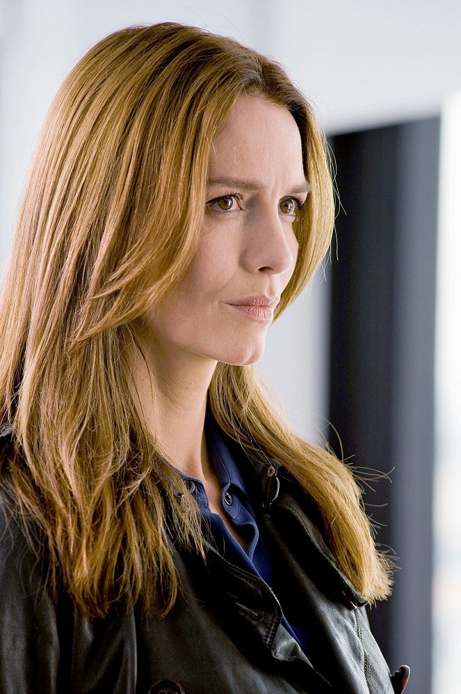 New York - Section criminelle - Gods & Insects - Film - Saffron Burrows