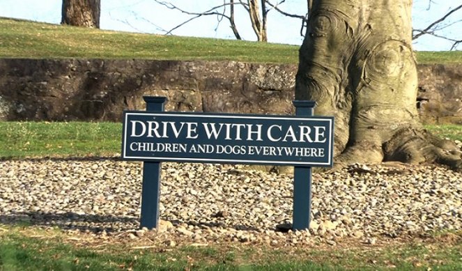 Drive with Care - Photos