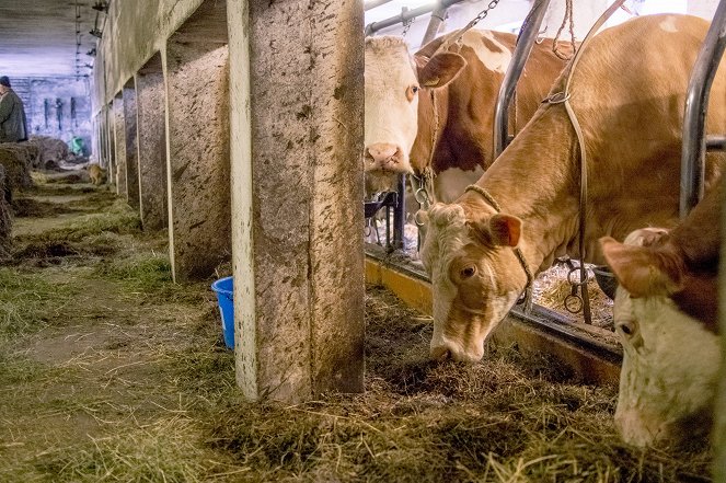 Zurück zur Natur - Kuvat elokuvasta