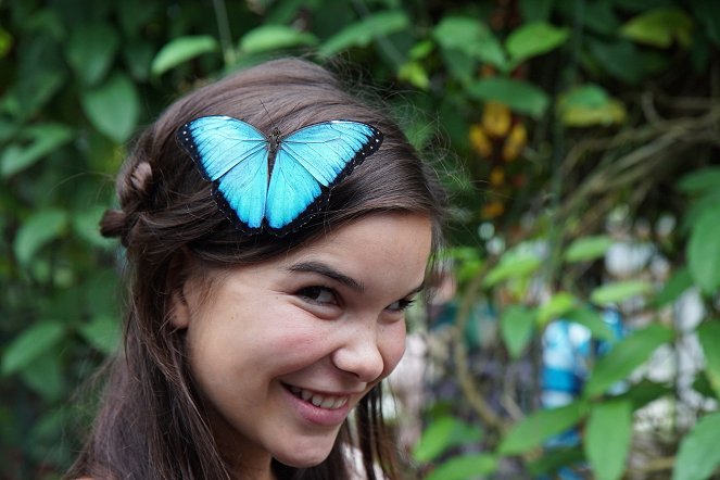Anna und die wilden Tiere - Im Garten der Schmetterlinge - Film - Annika Preil