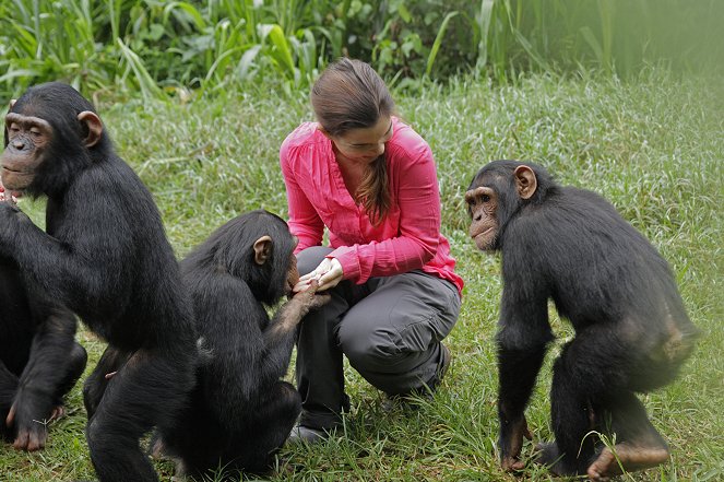 Anna und die wilden Tiere - Schlau wie die Schimpansen - Film