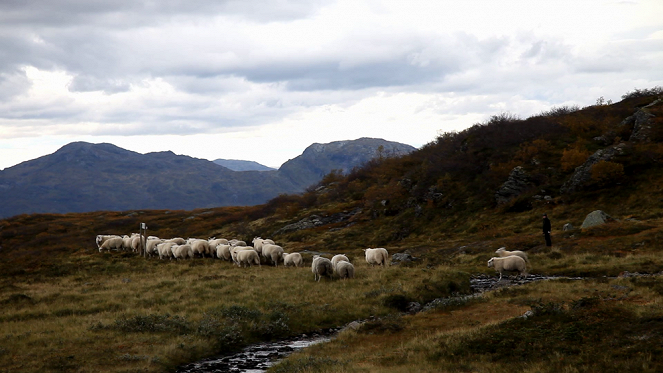 The Fight for the Fjords - Van film