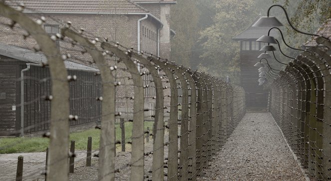 Auschwitz - Van film