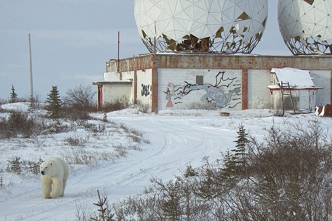 Jääkarhujen kaupunki - Kuvat elokuvasta