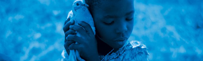 Blue Bird - Van film - Bafiokadié Potey