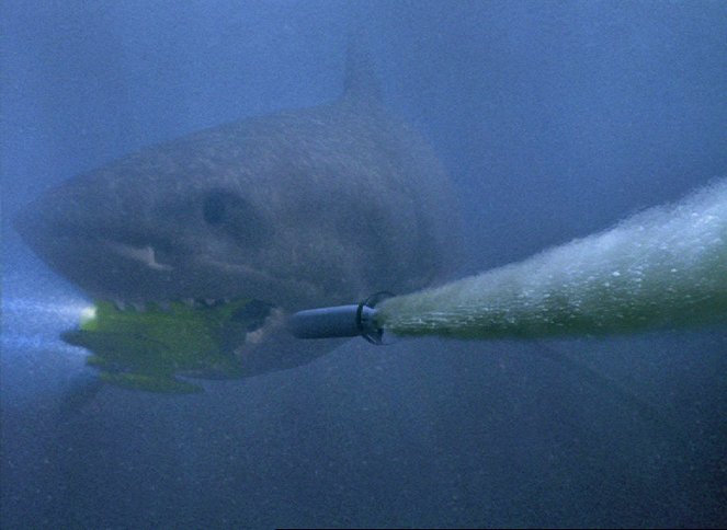 Shark Attack 3: Megalodon - Do filme
