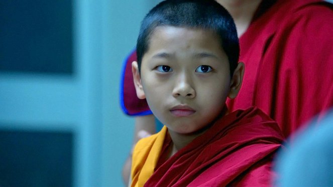 Royal Pains - Lama Trauma - Kuvat elokuvasta