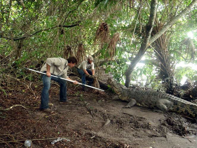 Az ausztrál krokodilmentő - Filmfotók