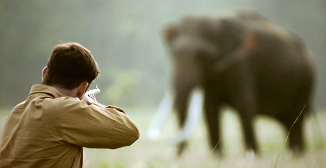 Shooting an Elephant - Filmfotos