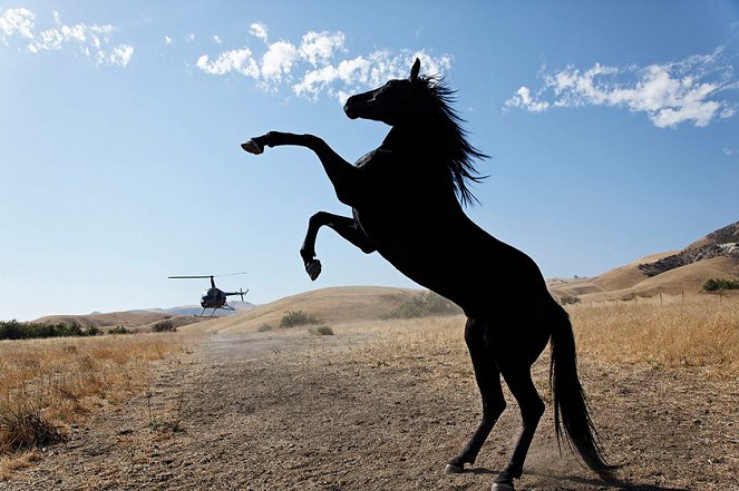 Wild Horses - Filmfotók