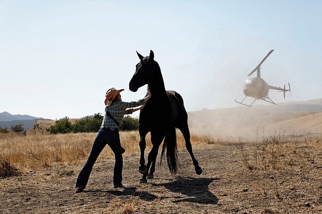Wild Horses - Van film