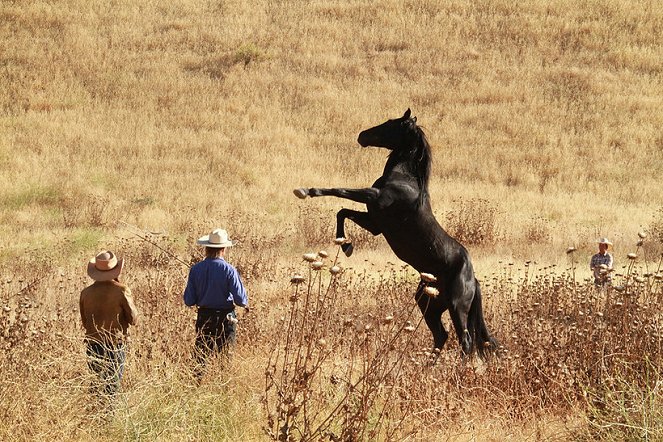 Wild Horses - Kuvat kuvauksista