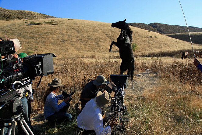 Wild Horses - Tournage