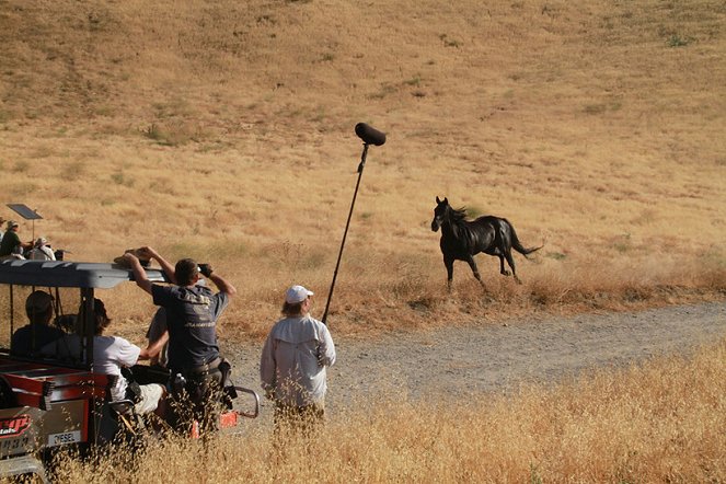 Wild Horses - Z natáčení