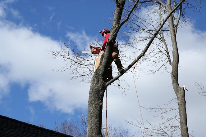 Iso paha metsä - Kuvat elokuvasta