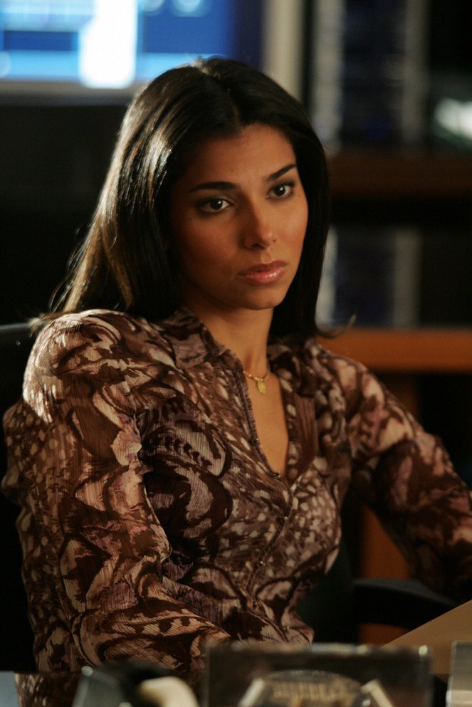 Without a Trace - From the Ashes - Z filmu - Roselyn Sanchez