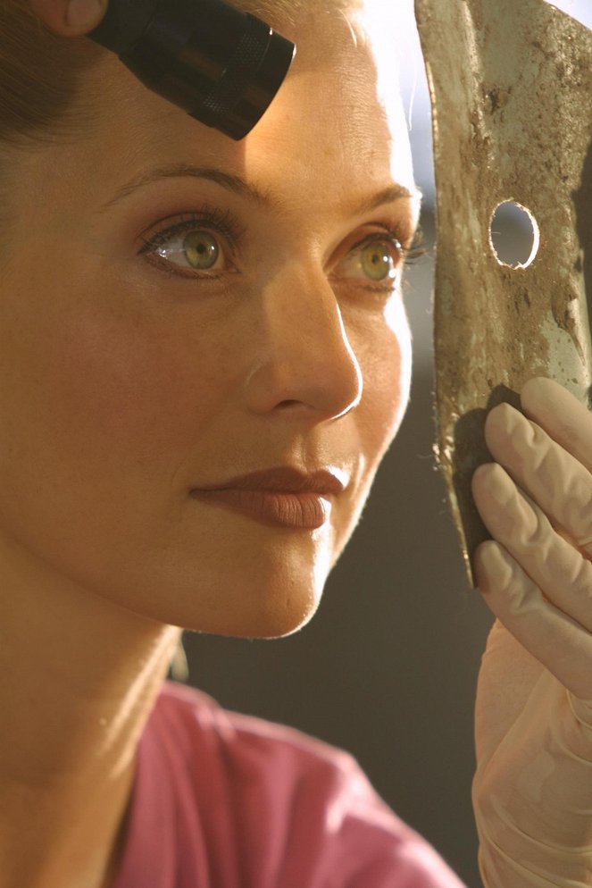 CSI: Miami helyszínelők - Arany ejtőernyő - Filmfotók - Emily Procter