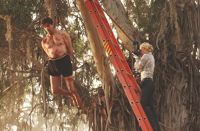 CSI: Miami - Der Tote am Baum - Filmfotos - Lenny von Dohlen, Emily Procter