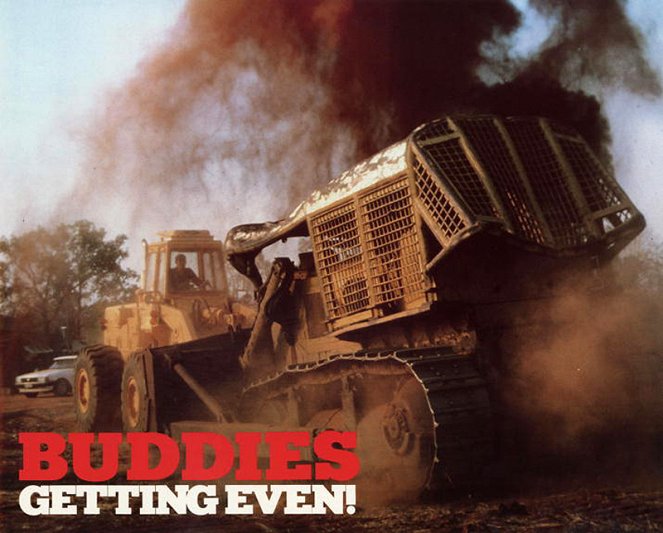Buddies - Fotocromos