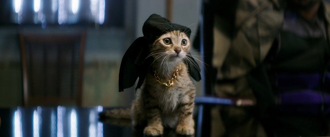 Keanu: Mačacia gangsterka - Z filmu