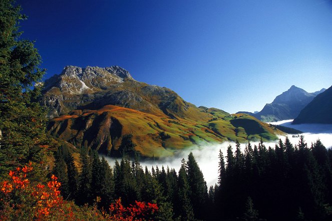Universum: Der Arlberg - Das verborgene Paradies - De filmes