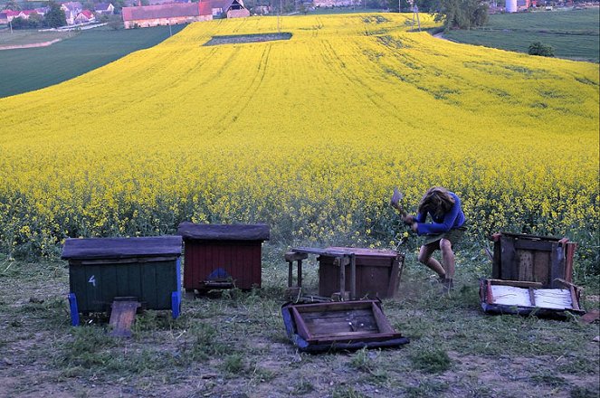 Afonia i pszczoły - Z filmu