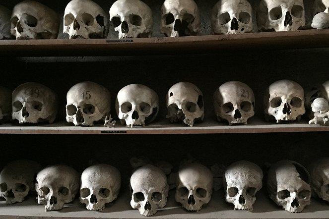 Pompéi : La vie avant la mort - Film