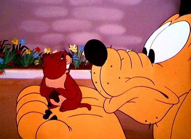 Pluto and the Gopher - Photos