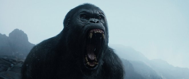 Legend of Tarzan - Filmfotos