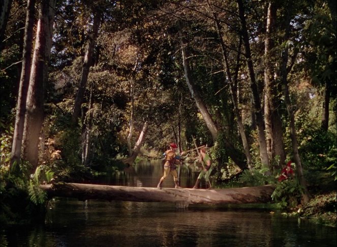 Robin de los bosques - De la película