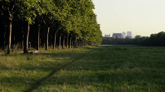 Un bosque en París - De la película