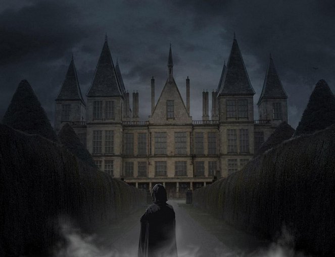 Harry Potter i Insygnia Śmierci: Część I - Grafika koncepcyjna