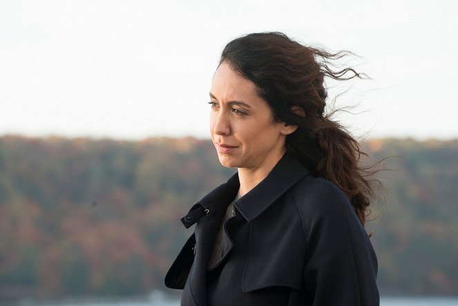 The Blacklist - Le Directeur (n°24) - Film - Mozhan Marnò