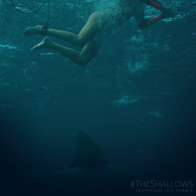 The Shallows - Gefahr aus der Tiefe - Werbefoto