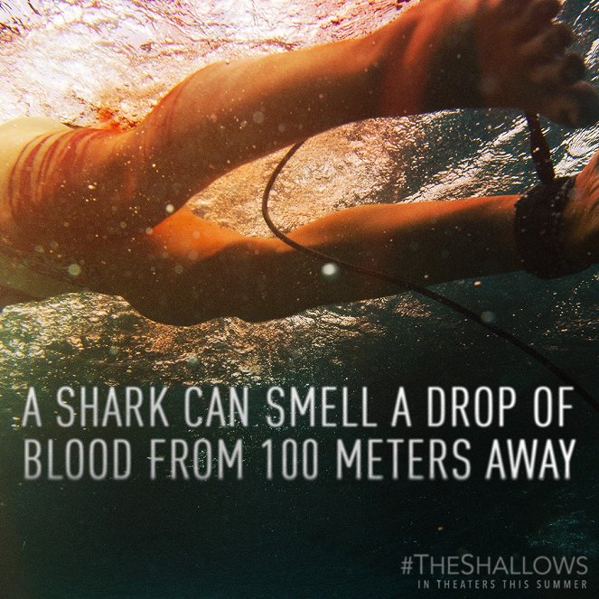 The Shallows - Promo