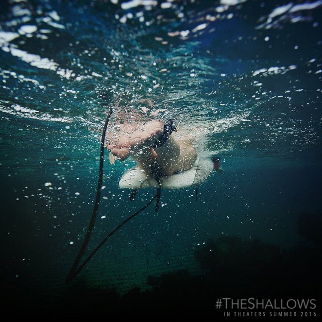 The Shallows - Gefahr aus der Tiefe - Werbefoto