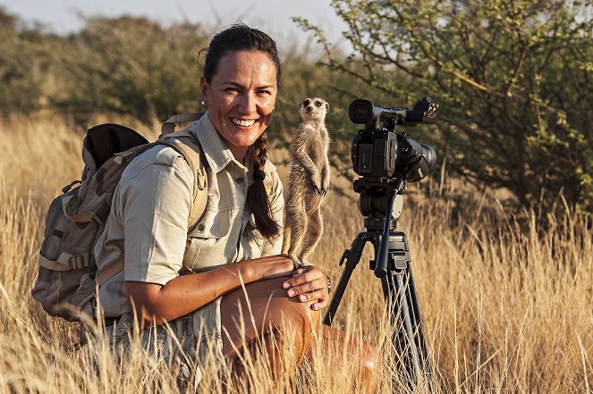Kalahari Meerkats - Film