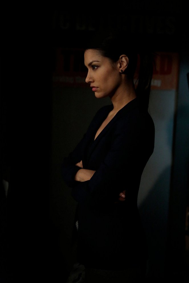 The Mysteries of Laura - The Mystery of the Political Operation - Van film - Janina Gavankar