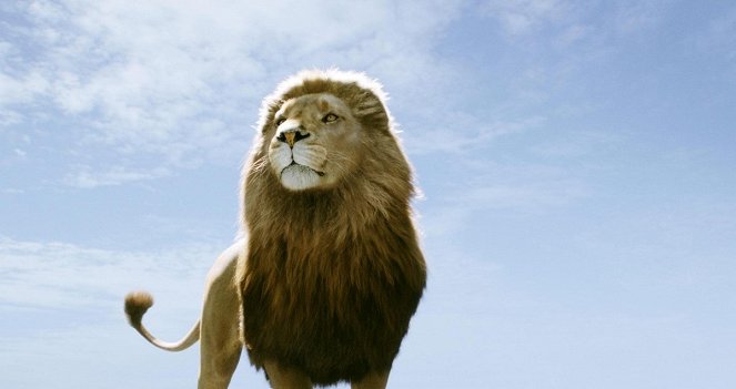 The Chronicles of Narnia: Voyage of the Dawn Treader - Photos
