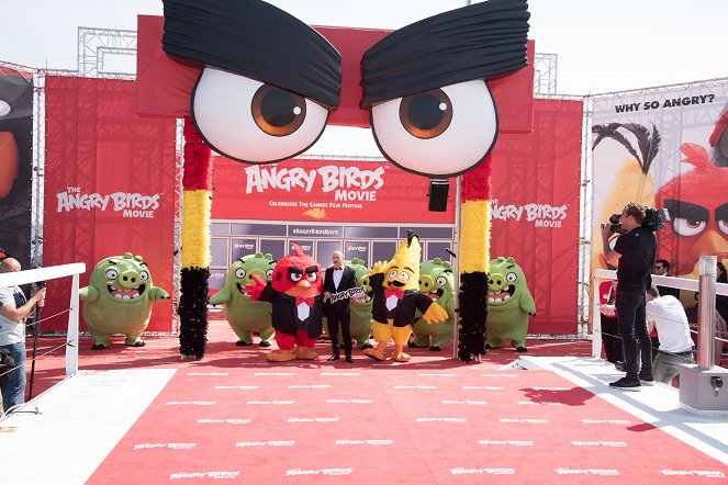 Angry Birds -elokuva - Tapahtumista