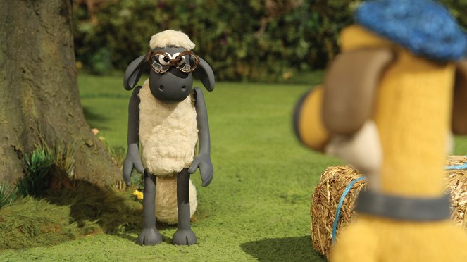 Shaun the Sheep - Season 2 - Ewe've Been Framed - Van film