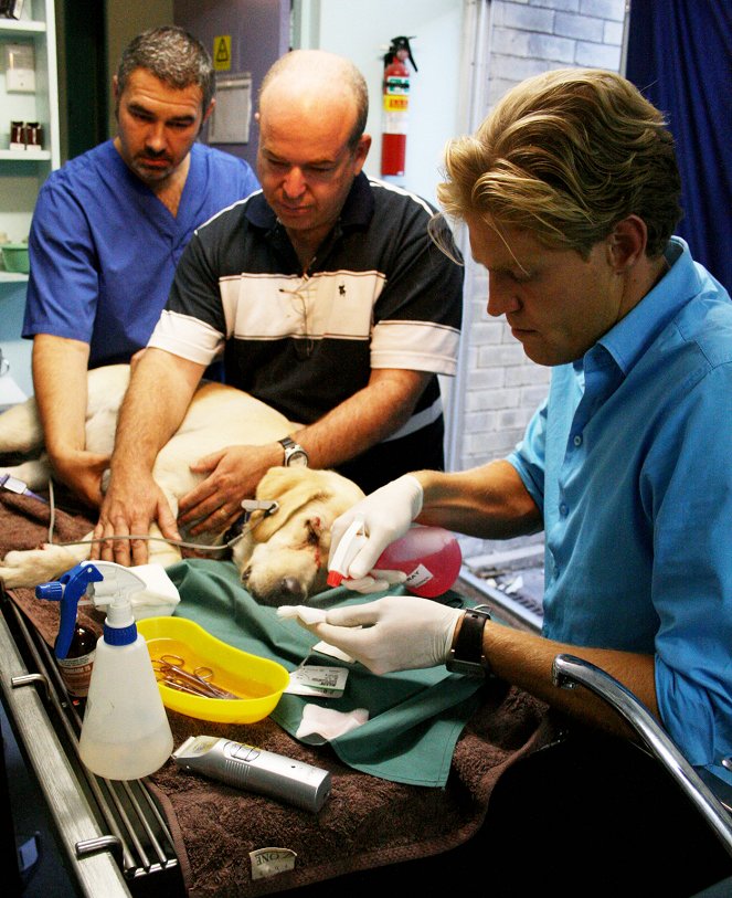 Tierarzt Dr. Brown - Einsatz Down Under - Filmfotos - Chris Brown