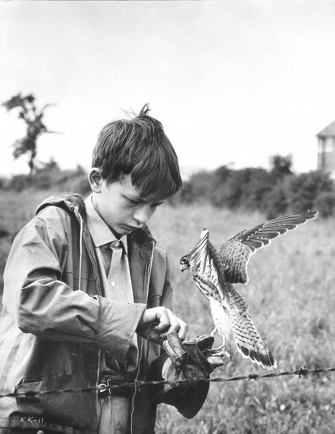 Kes - Z filmu - David Bradley